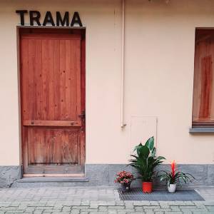 Trama - porta
