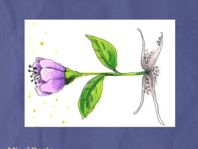 Micol Costa – Vulnerabile&nbsp;bellezza